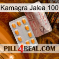 Kamagra Jelly 100 new13